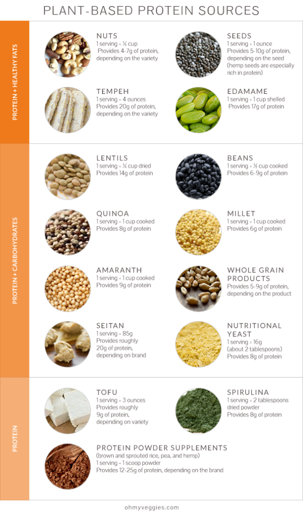 plant_based_protein_sources