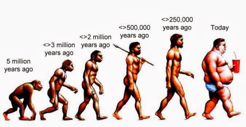 the_evolution_of_man_ages
